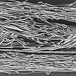 This microscopic image of the NOAH fabric shows three distinct layers with smaller, denser fibers in the innermost layer.